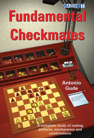 images/productimages/small/fundamental chess openings.jpg